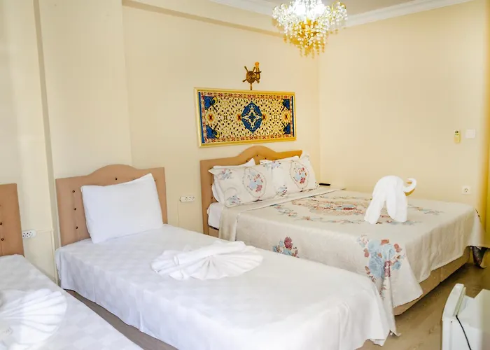 Ephesus Palaces Habitación en casa particular