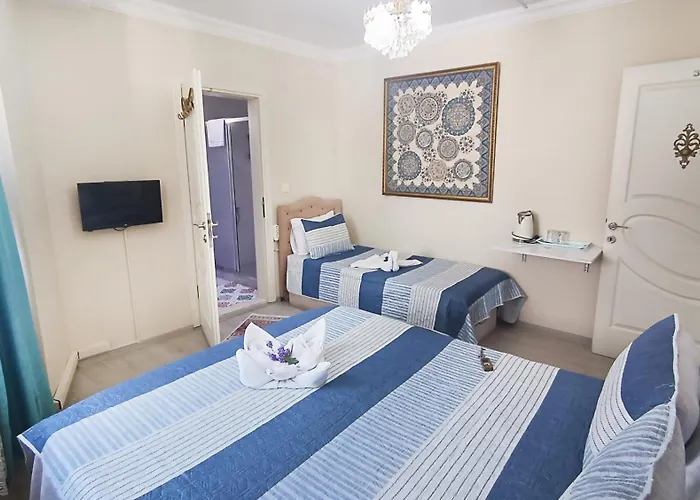 Ephesus Palaces Habitación en casa particular Selçuk