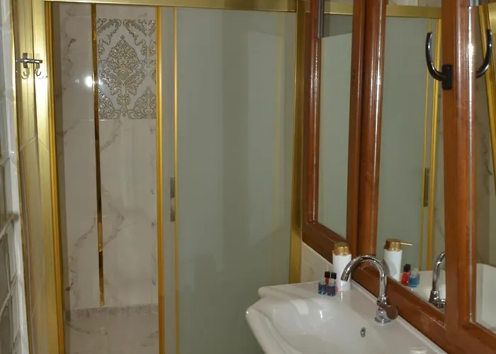 Ephesus Palaces Habitación en casa particular Selçuk