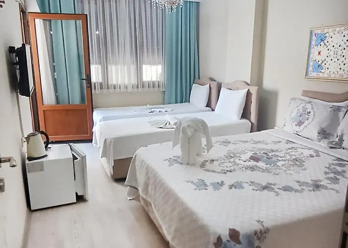 Ephesus Palaces Gazde/Camere de închiriat *