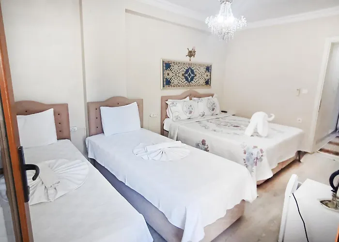 Habitación en casa particular Ephesus Palaces Selçuk